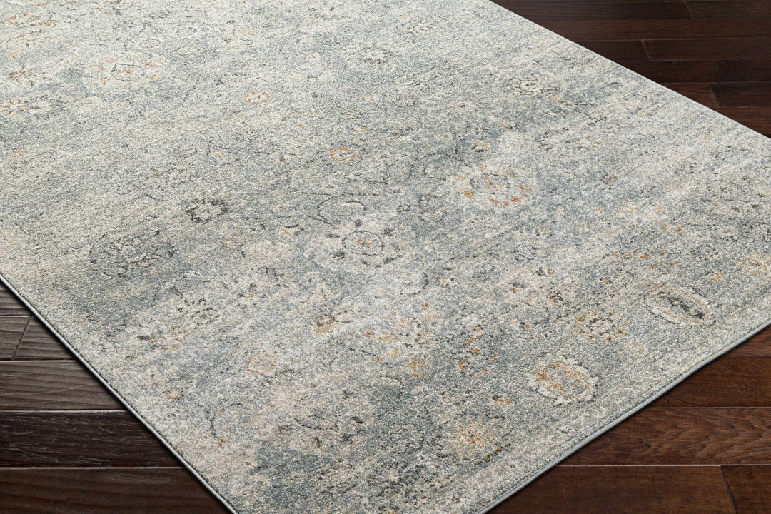 Pavan Gray Traditional washed out Area Rug - The Rug Decor