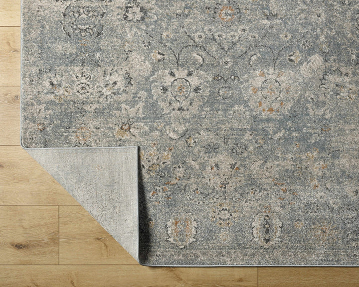 Pavan Gray Traditional washed out Area Rug - The Rug Decor