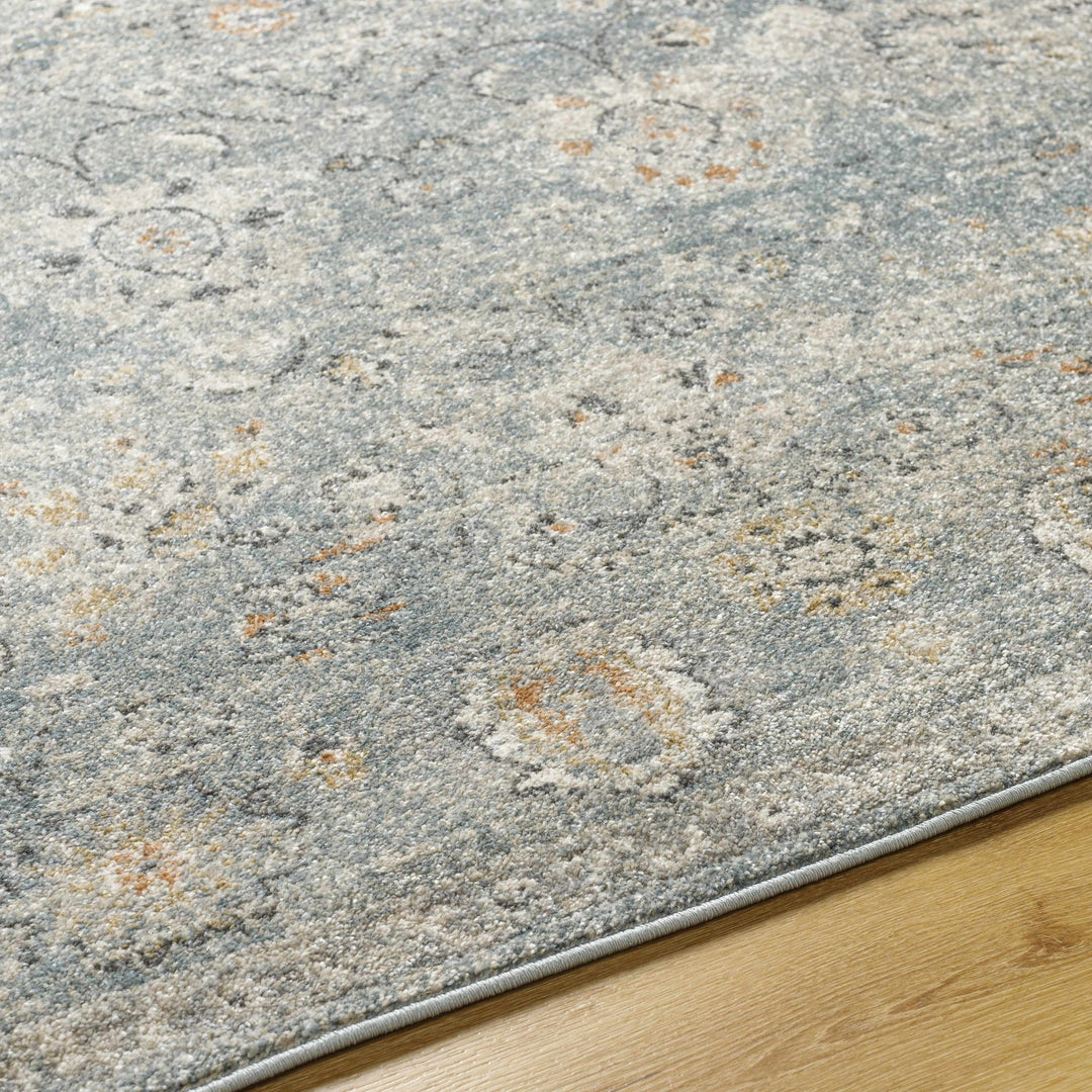 Pavan Gray Traditional washed out Area Rug - The Rug Decor
