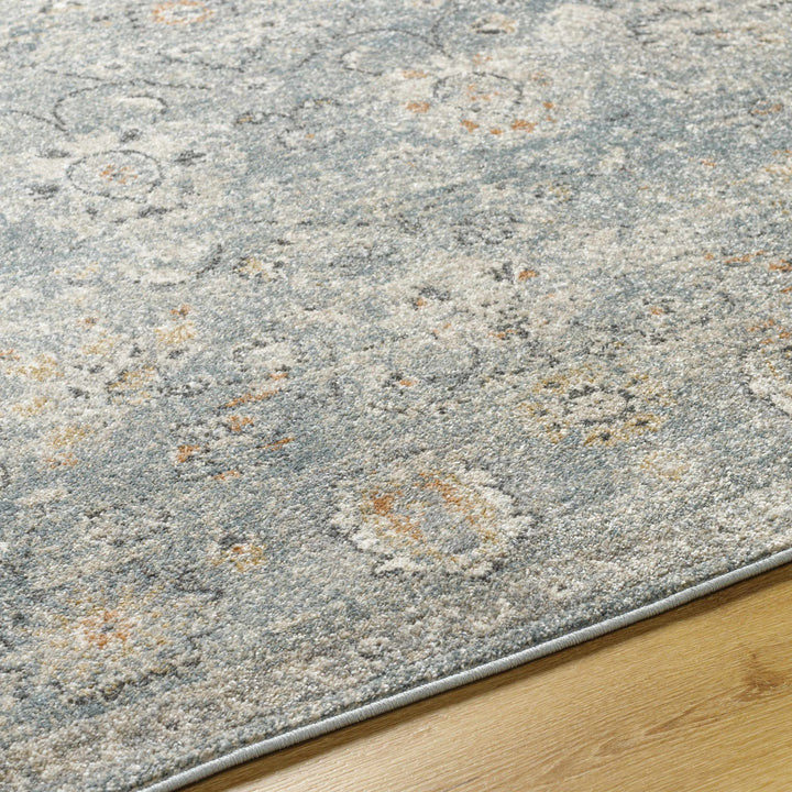 Pavan Gray Traditional washed out Area Rug - The Rug Decor