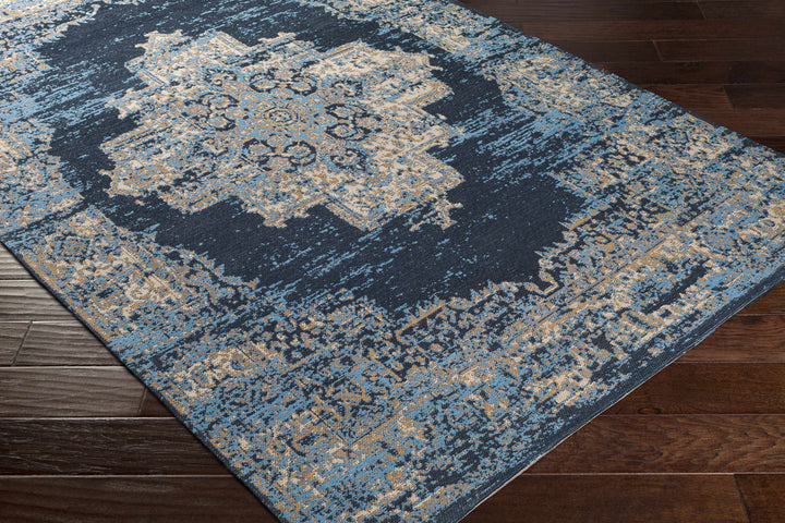 Peckville Traditional Style Blue And Beige Hand Woven Area Rug