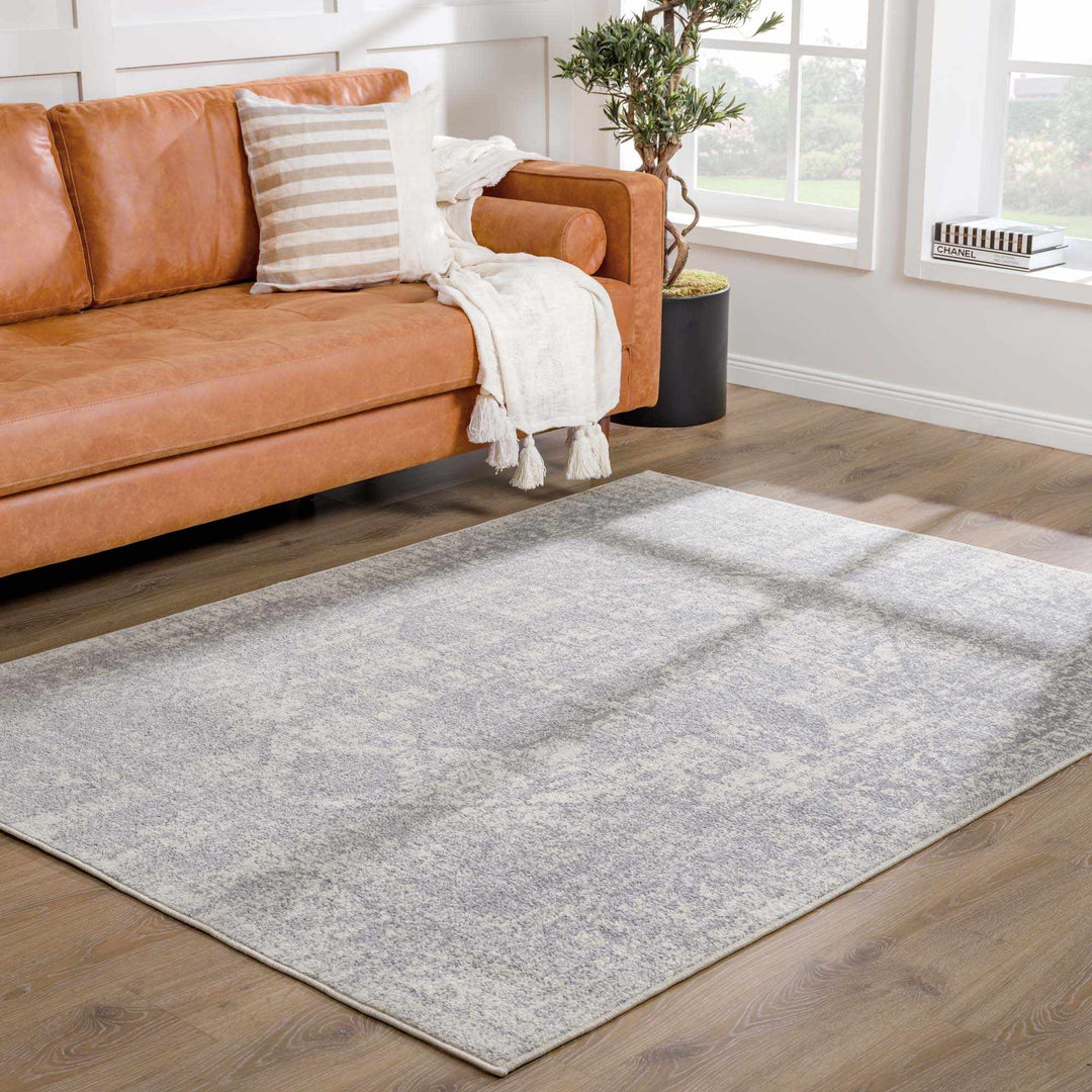 Peeta Gray And Beige Traditional Style Area Rug - The Rug Decor