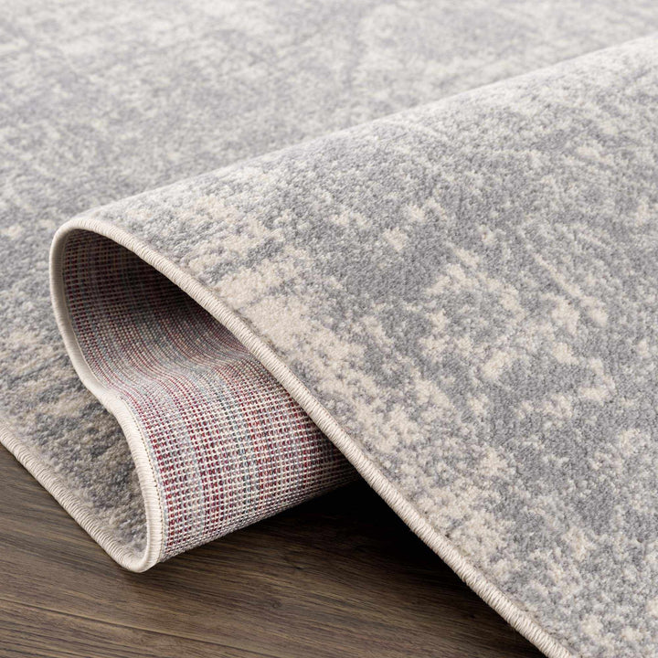 Peeta Gray And Beige Traditional Style Area Rug - The Rug Decor