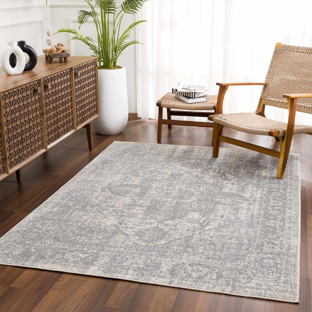 Peeta Gray And Beige Traditional Style Area Rug - The Rug Decor