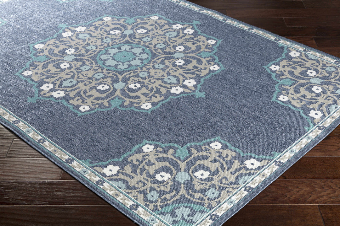 Penland Traditional Style Beige And Blue Outdoor Area Rug