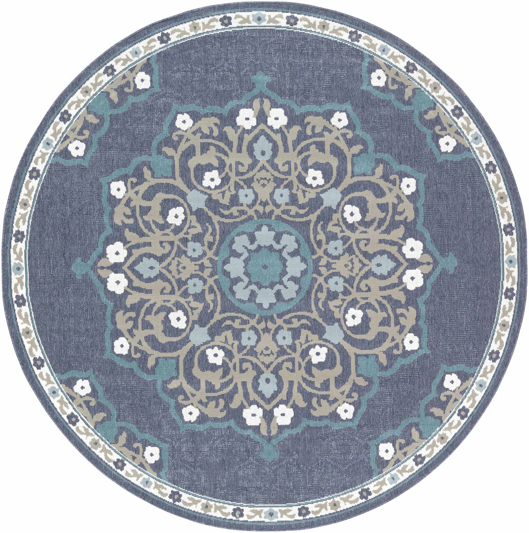 Penland Traditional Style Beige And Blue Outdoor Area Rug