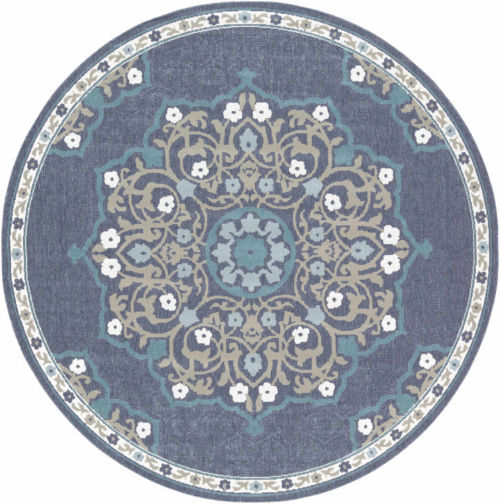 Penland Traditional Style Beige And Blue Outdoor Area Rug