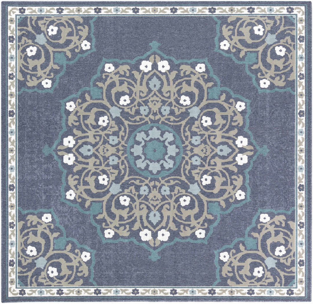 Penland Traditional Style Beige And Blue Outdoor Area Rug