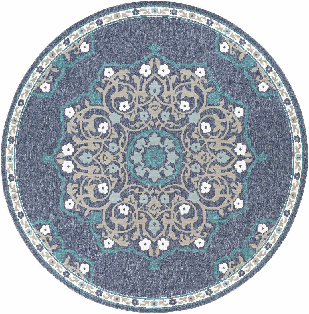Penland Traditional Style Beige And Blue Outdoor Area Rug