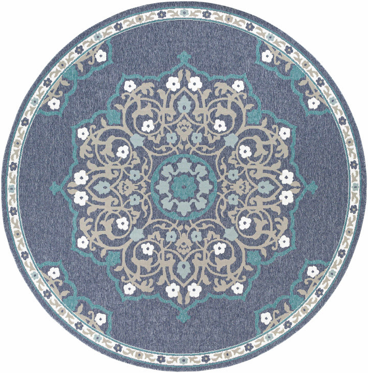 Penland Traditional Style Beige And Blue Outdoor Area Rug