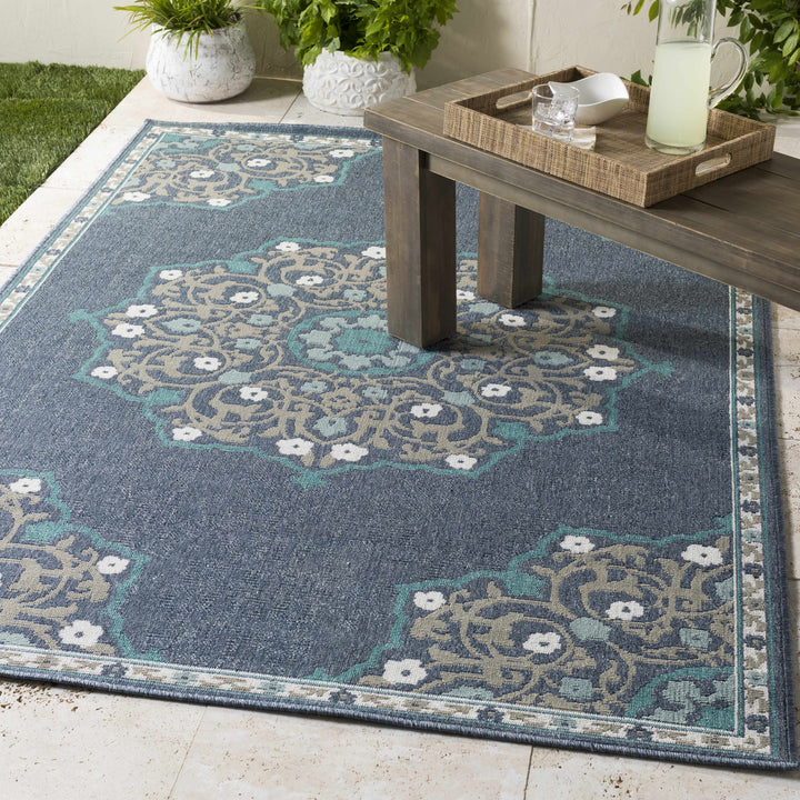 Penland Traditional Style Beige And Blue Outdoor Area Rug