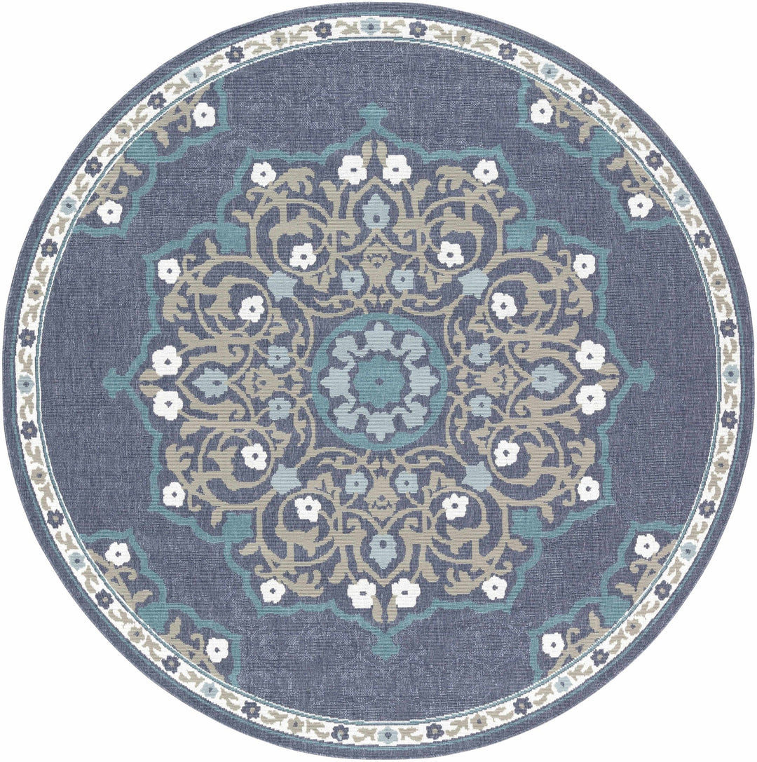 Penland Traditional Style Beige And Blue Outdoor Area Rug - The Rug Decor