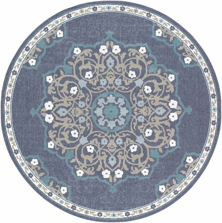 Penland Traditional Style Beige And Blue Outdoor Area Rug - The Rug Decor