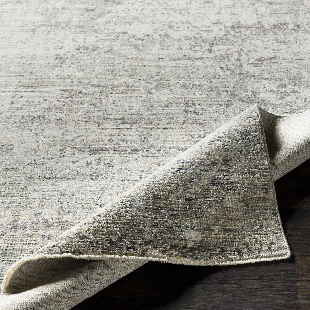 Penokee Modern Abstract Design Beige And Gray Area Rug