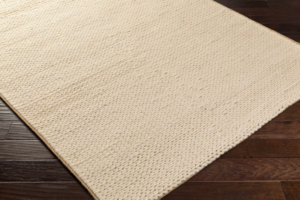 Petersfield Contemporary Style Beige Hand Woven Area Rug - The Rug Decor