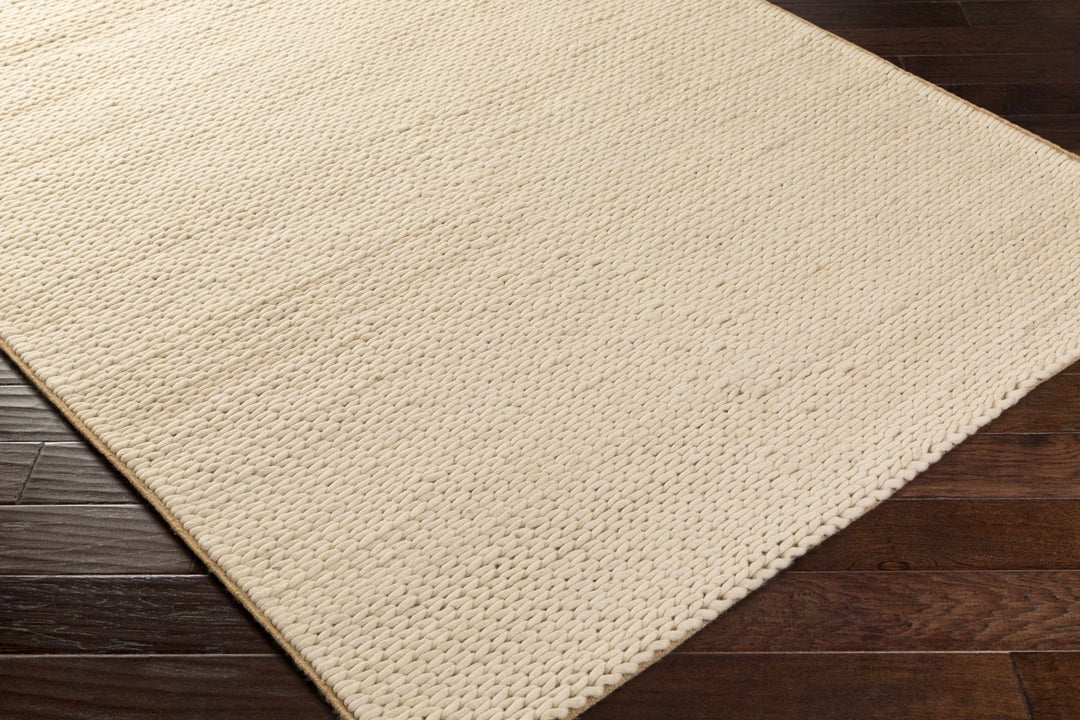 Petersfield Contemporary Style Beige Hand Woven Area Rug - The Rug Decor