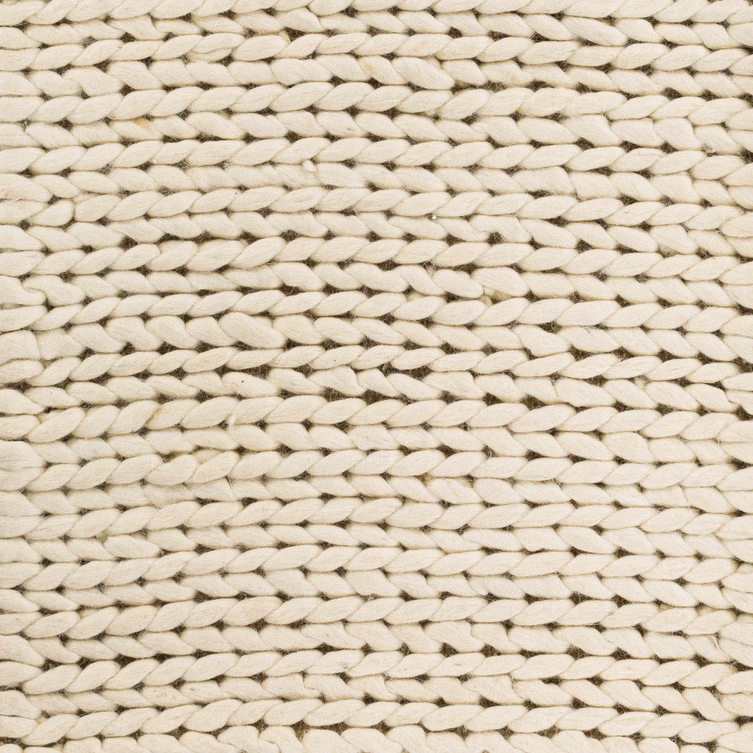 Petersfield Contemporary Style Beige Hand Woven Area Rug - The Rug Decor