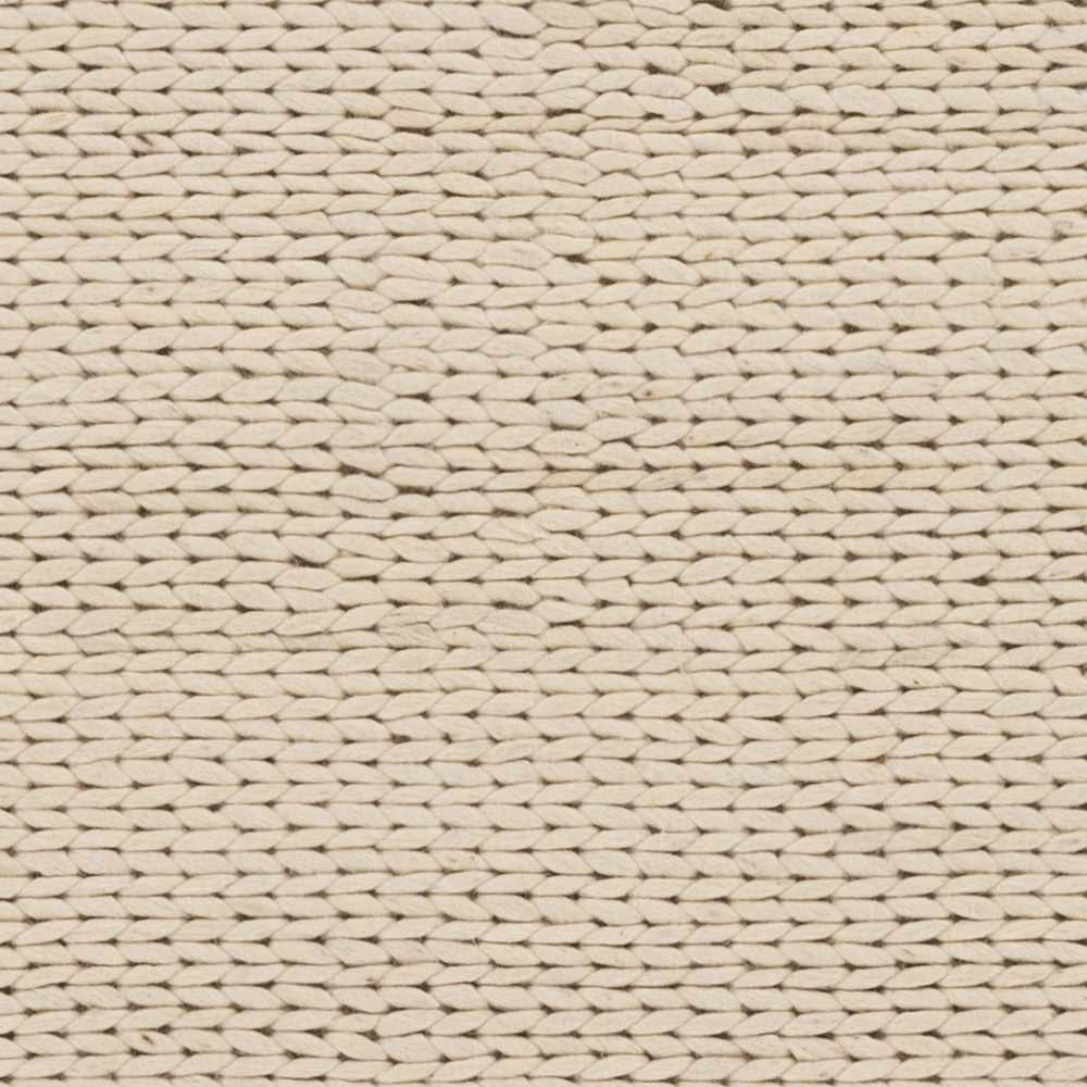 Petersfield Contemporary Style Beige Hand Woven Area Rug - The Rug Decor