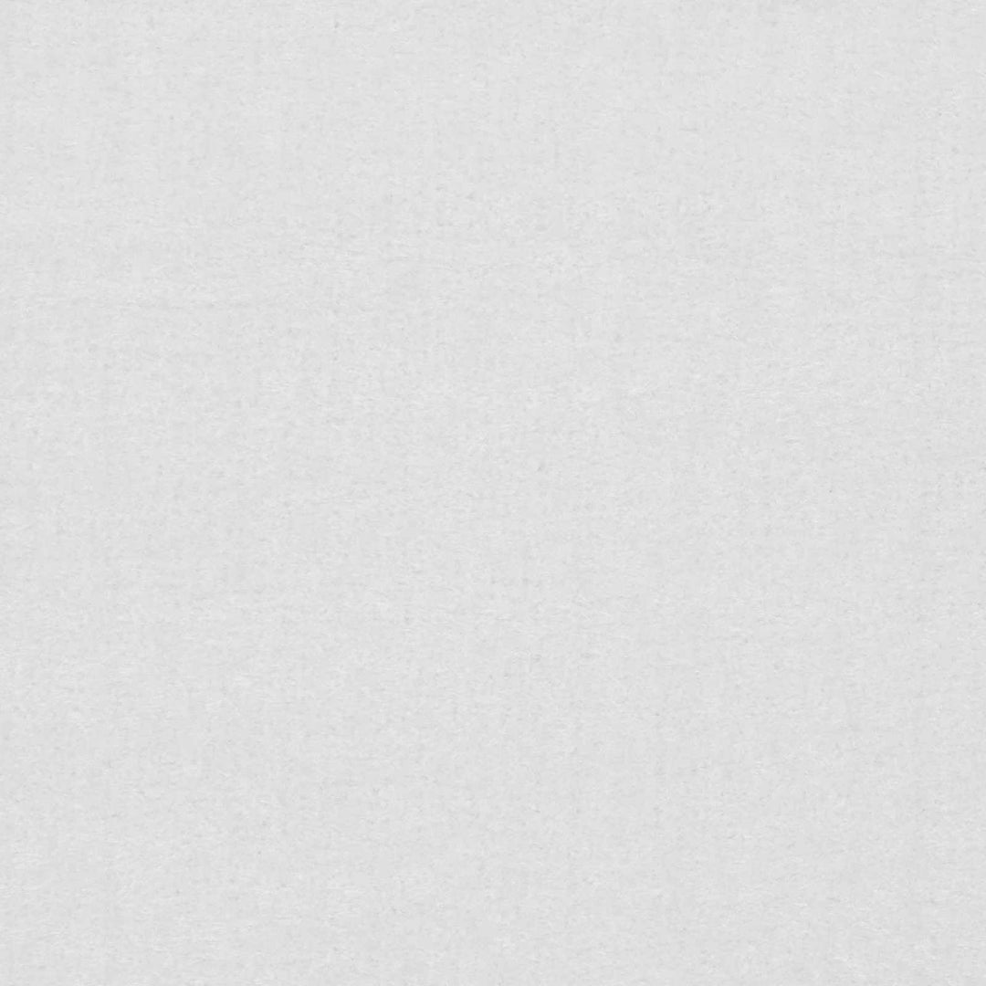Piedmont White Modern Solid Design Outdoor Area Rug - The Rug Decor