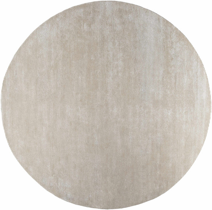 Pirro Beige Modern Style Hand Tufted Wool Area Rug - The Rug Decor