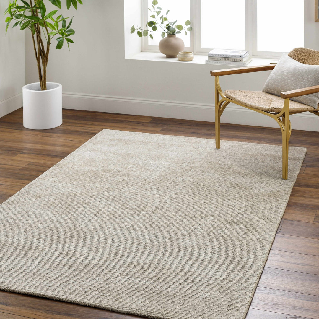 Pirro Beige Modern Style Hand Tufted Wool Area Rug - The Rug Decor