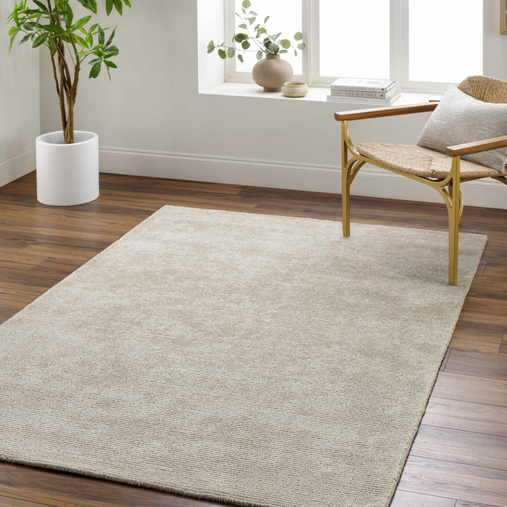 Pirro Beige Modern Style Hand Tufted Wool Area Rug - The Rug Decor