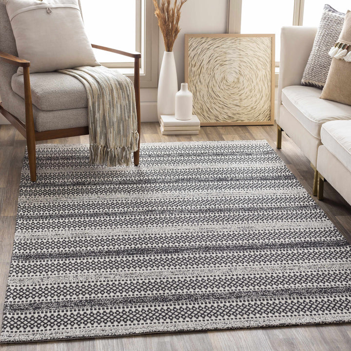 Planada Ivory And Black Modern Style Washable Area Rug