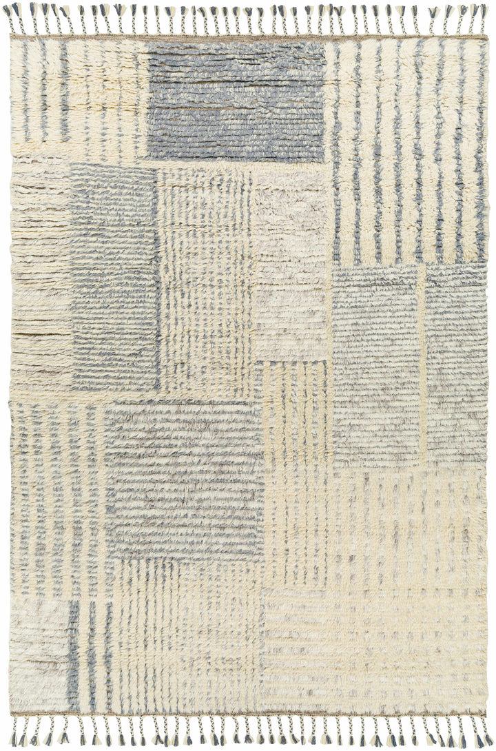 Plean Modern Style Ivory And Gray Hand Knotted Area Rug