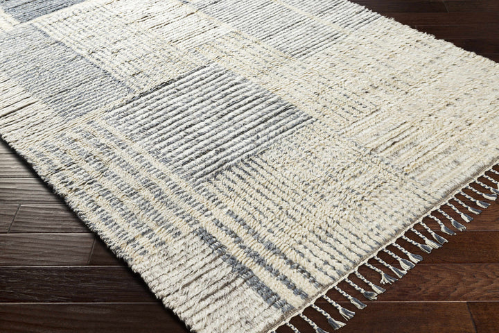 Plean Modern Style Ivory And Gray Hand Knotted Area Rug