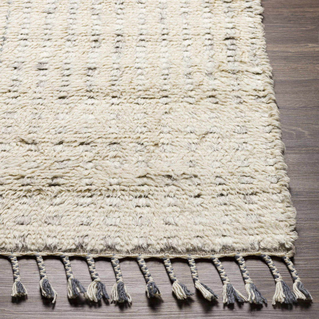 Plean Modern Style Ivory And Gray Hand Knotted Area Rug