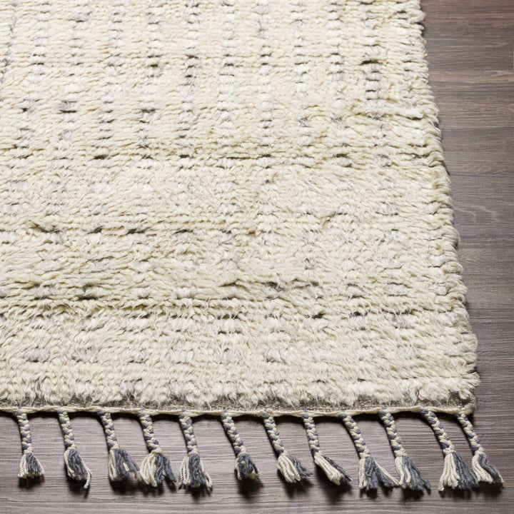 Plean Modern Style Ivory And Gray Hand Knotted Area Rug