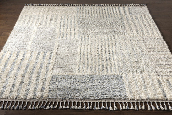 Plean Modern Style Ivory And Gray Hand Knotted Area Rug - The Rug Decor