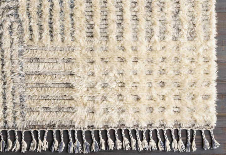 Plean Modern Style Ivory And Gray Hand Knotted Area Rug - The Rug Decor