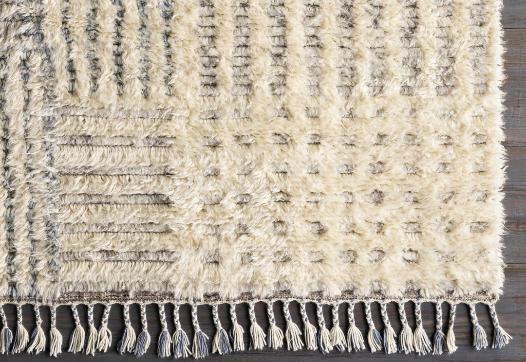 Plean Modern Style Ivory And Gray Hand Knotted Area Rug