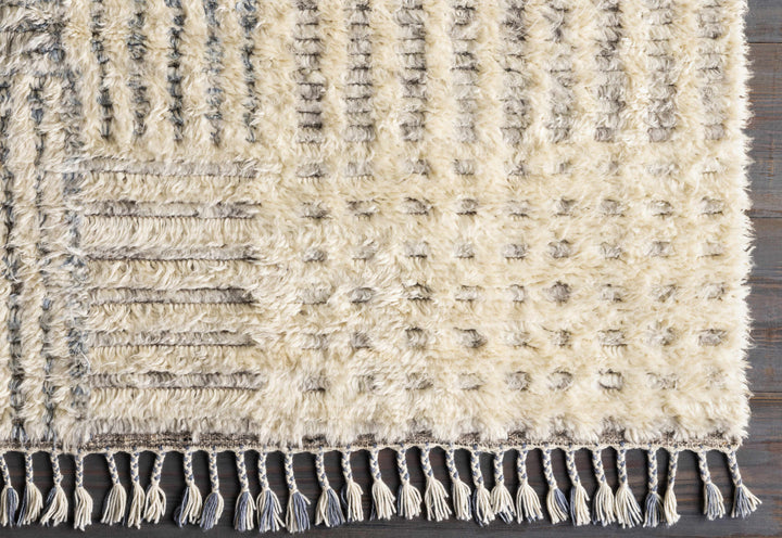 Plean Modern Style Ivory And Gray Hand Knotted Area Rug