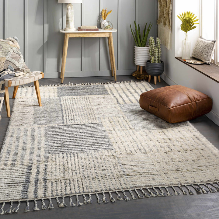 Plean Modern Style Ivory And Gray Hand Knotted Area Rug