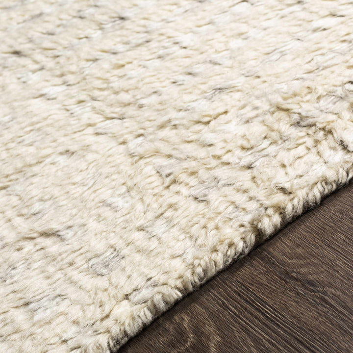 Plean Modern Style Ivory And Gray Hand Knotted Area Rug