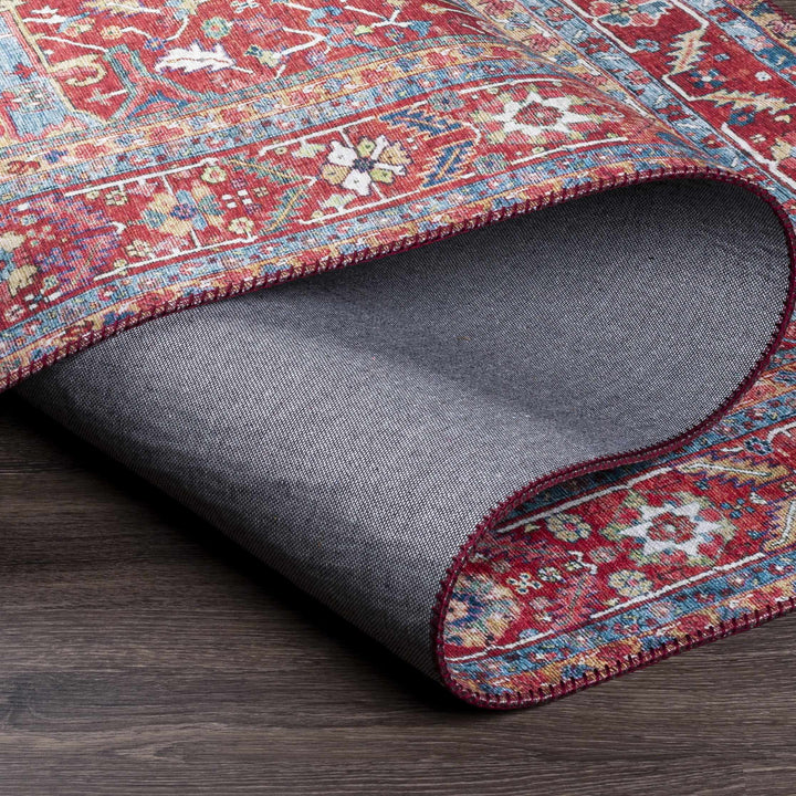 Pauline Traditional Style Red And Blue Area Rug