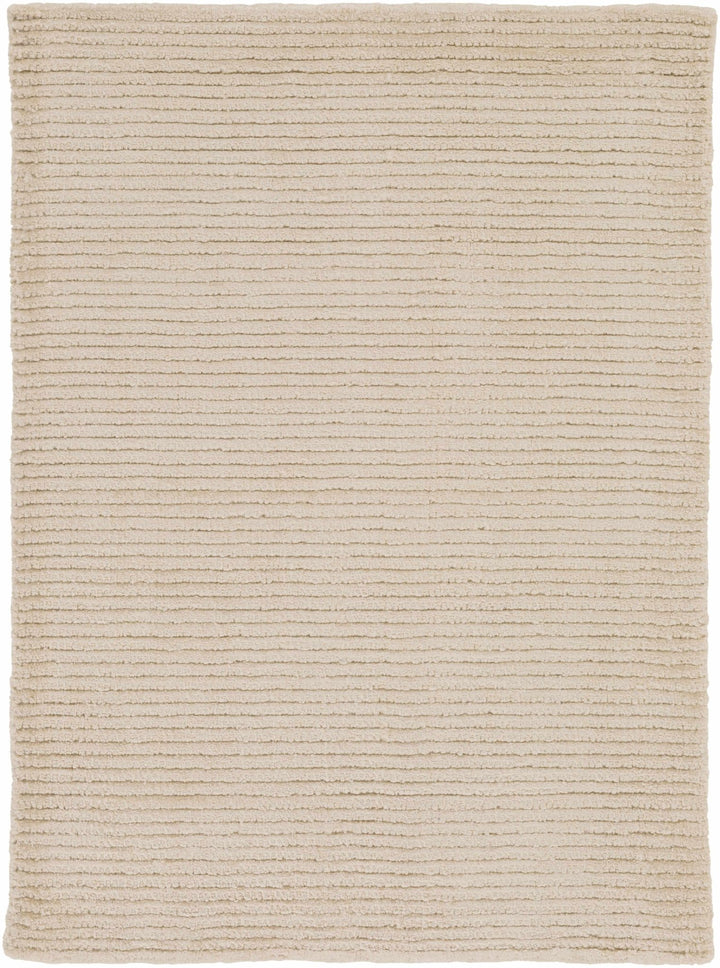 Plummer Hand Woven Modern Style Beige Area Rug - The Rug Decor