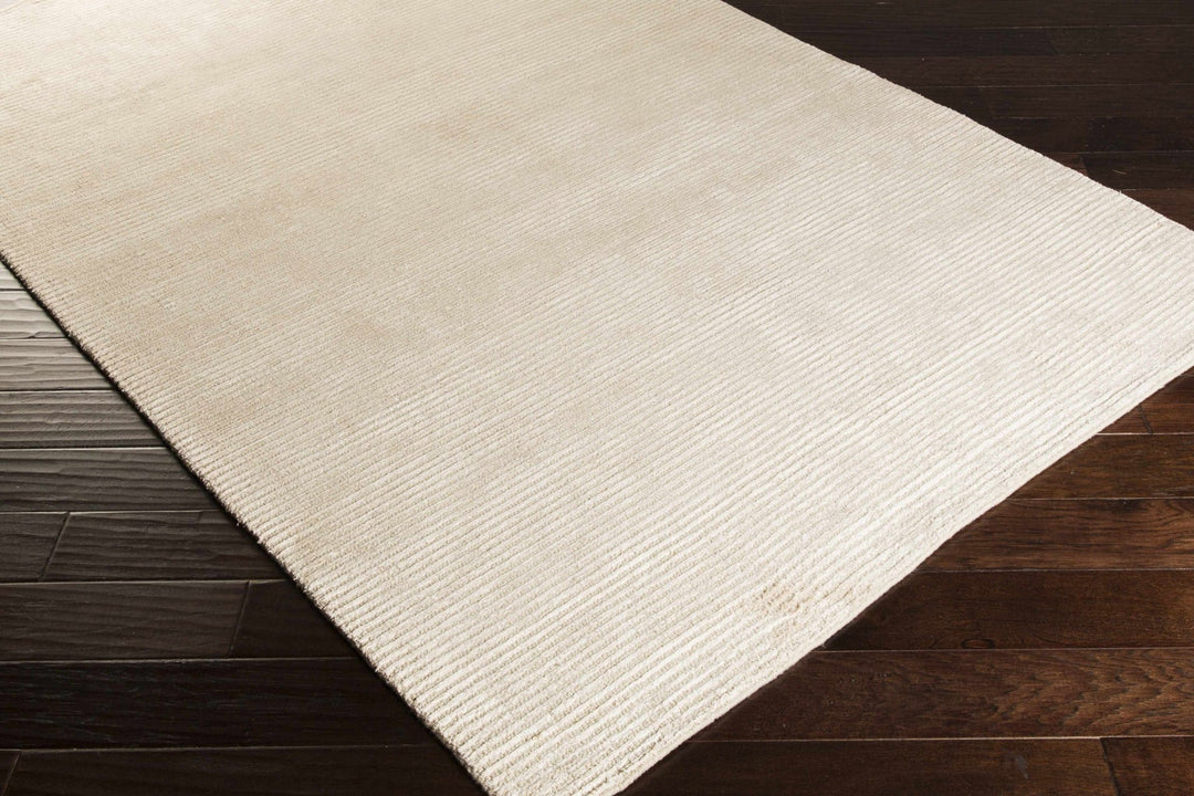 Plummer Hand Woven Modern Style Beige Area Rug - The Rug Decor