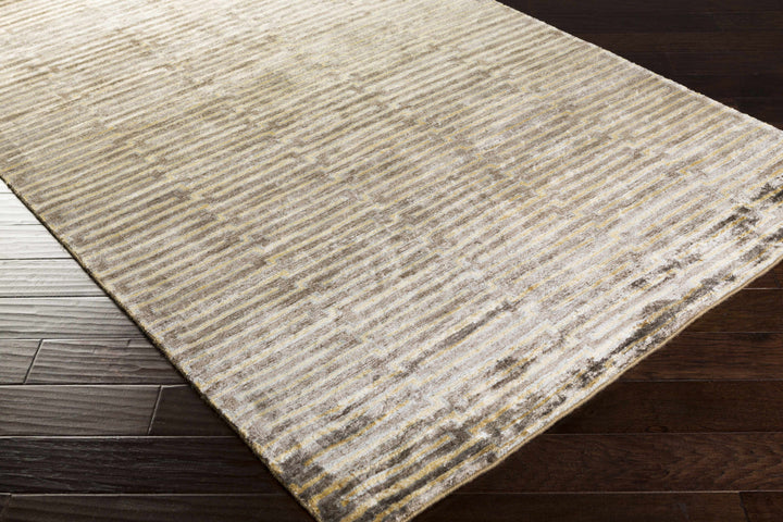 Porthmadog Modern Style Beige Hand Knotted Area Rug