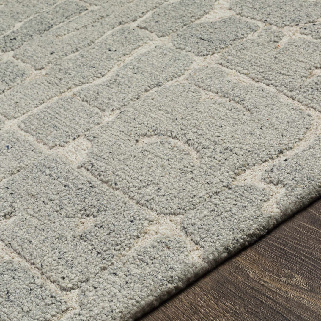Posof Contemporary Abstract Gray Area Rug - The Rug Decor