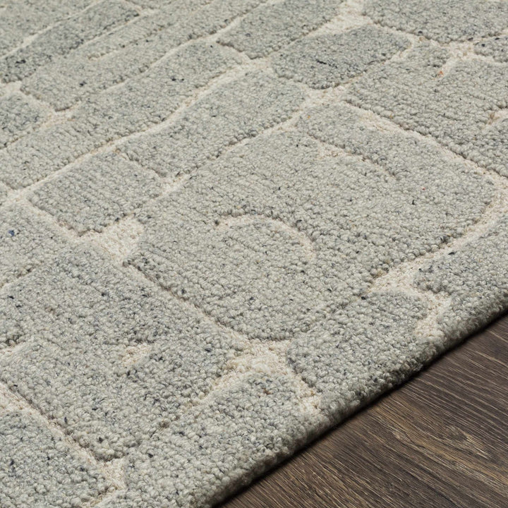 Posof Contemporary Abstract Gray Area Rug - The Rug Decor
