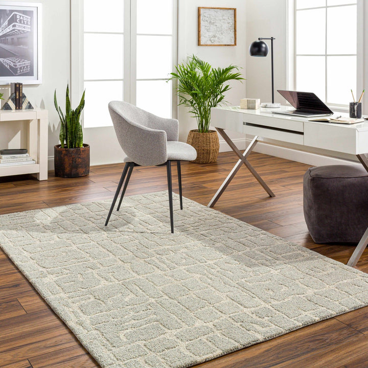Posof Contemporary Abstract Gray Area Rug - The Rug Decor