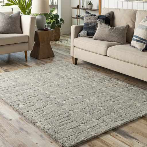 Posof Contemporary Abstract Gray Area Rug - The Rug Decor