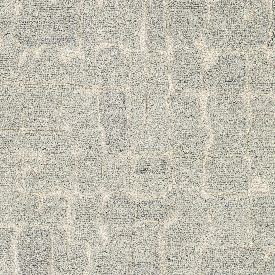 Posof Contemporary Abstract Gray Area Rug - The Rug Decor