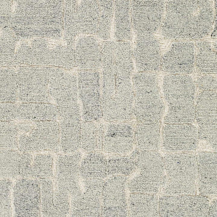 Posof Contemporary Abstract Gray Area Rug - The Rug Decor