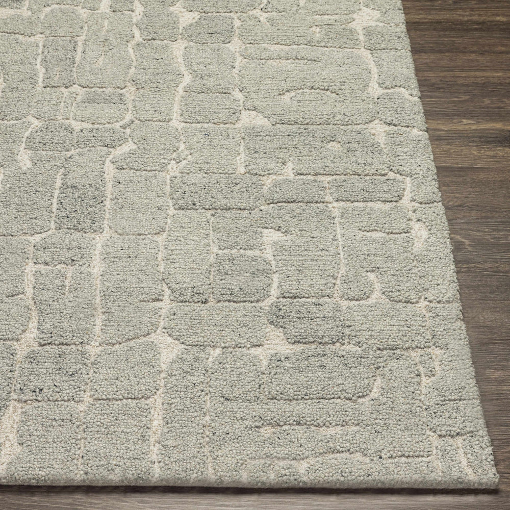 Posof Contemporary Abstract Gray Area Rug - The Rug Decor