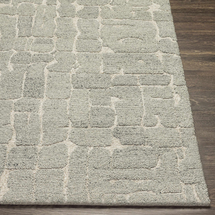 Posof Contemporary Abstract Gray Area Rug - The Rug Decor