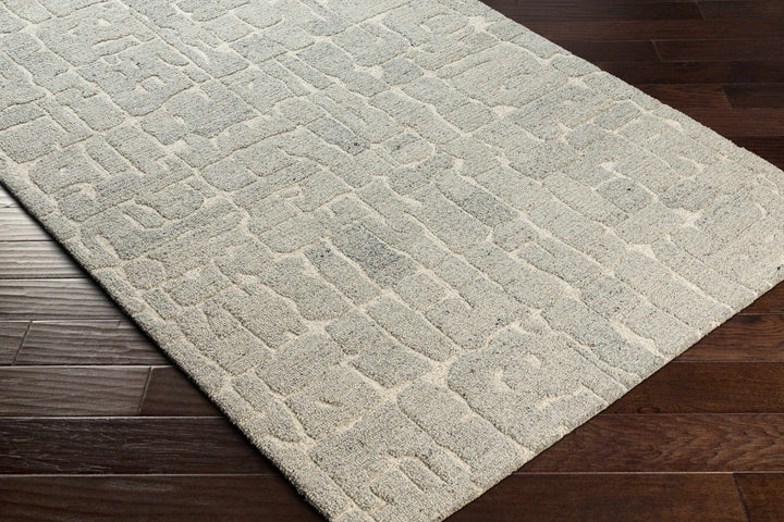 Posof Contemporary Abstract Gray Area Rug - The Rug Decor